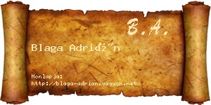Blaga Adrián névjegykártya